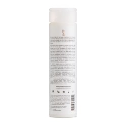 Braé Divine Absolutely Smooth Anti-Frizz Conditioner - 250ml